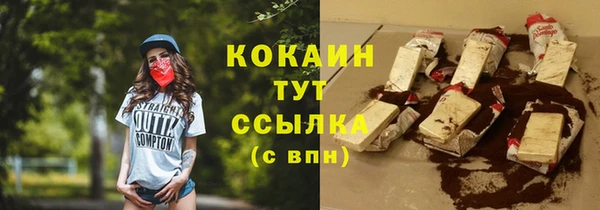 ешки Арсеньев