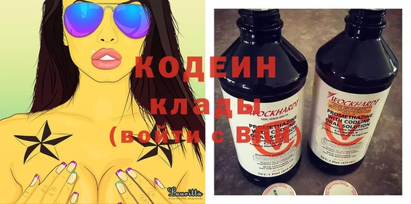 прущие грибы Кулебаки