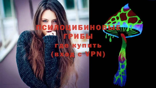 ешки Арсеньев
