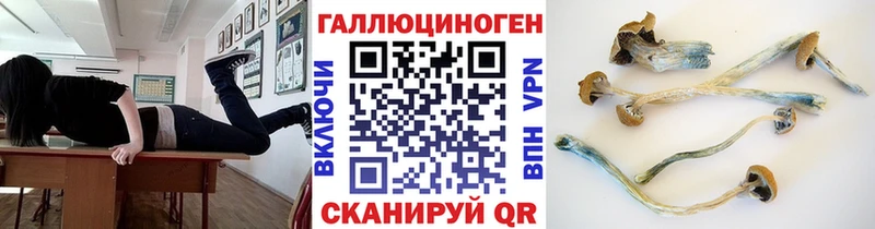 где купить   omg ссылка  Псилоцибиновые грибы Psilocybe  Правдинск 